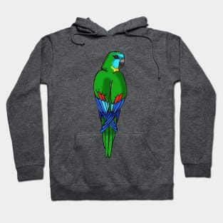 Turquoise Parrot Hoodie